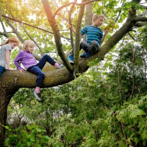 Thursday's Go Wild - 13 th August | 1pm - 2pm | Dawley 1st Scout Hut